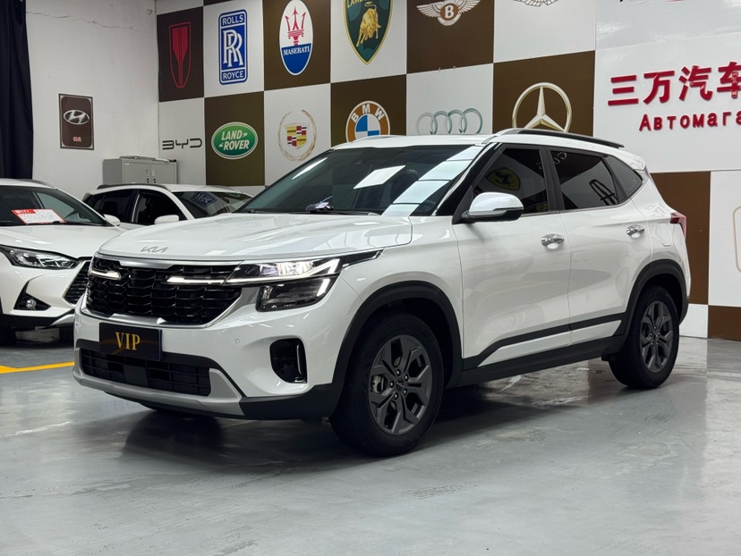Kia Seltos 2024 car image 