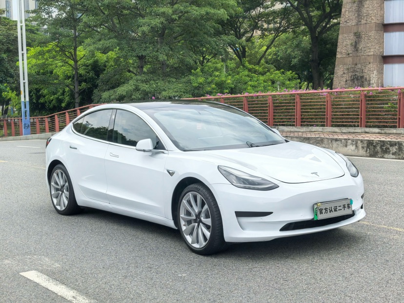 Tesla Model 3 2020 #3 Tesla Model 3 2020 car image #3