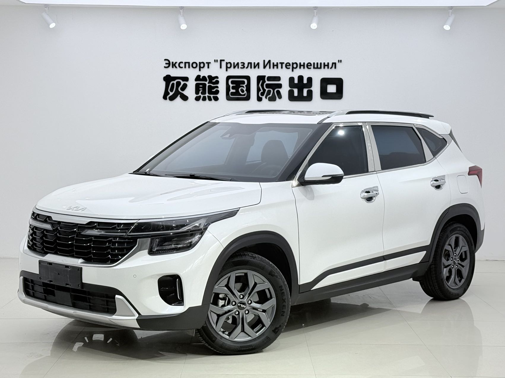 起亚 赛图斯 2023 汽车图片 