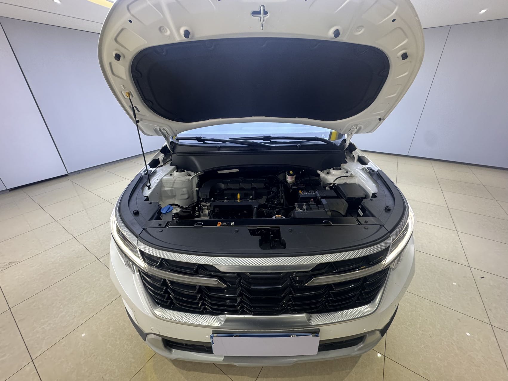 Kia Seltos 2023 car image #8