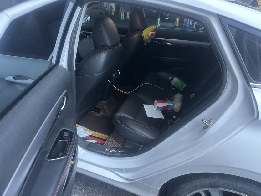 GEELY Binray 2020 #4 GEELY Binray 2020 car image #4