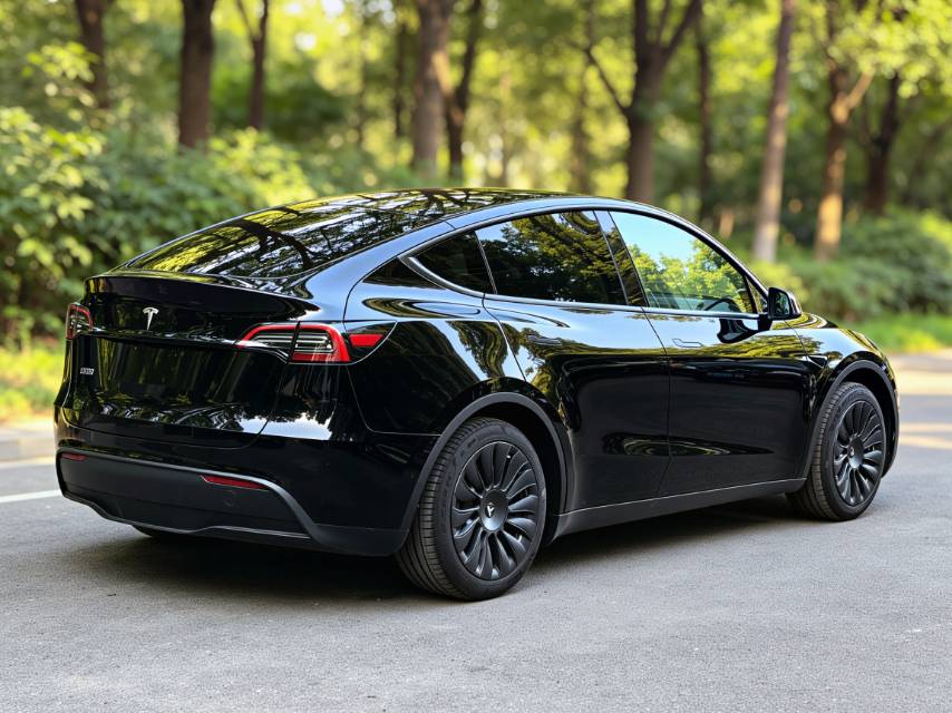 Tesla Model Y 2023 car image #6