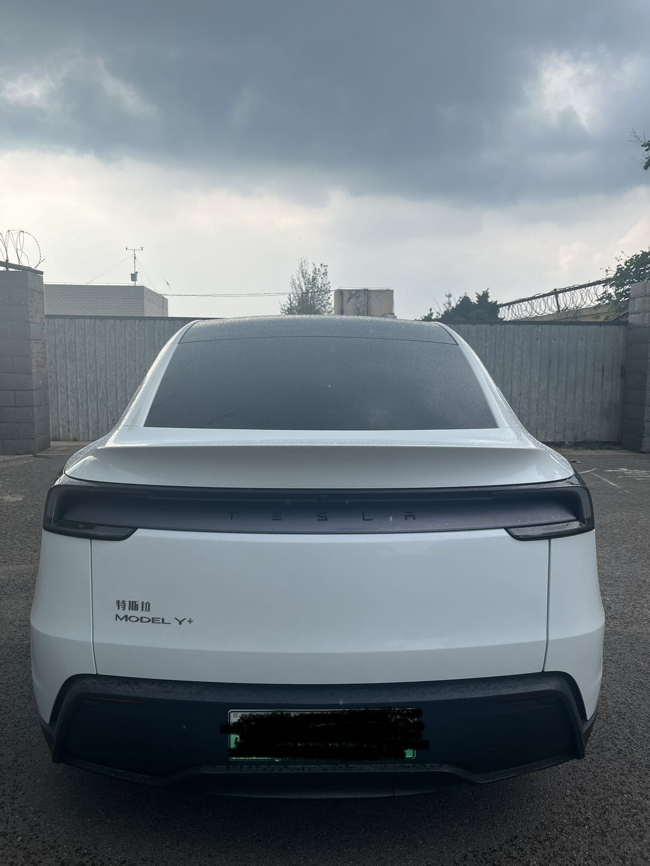 Tesla Model Y 2025 car image #6