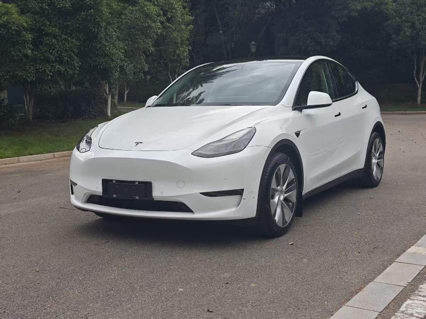 Tesla Model Y 2021 car image 
