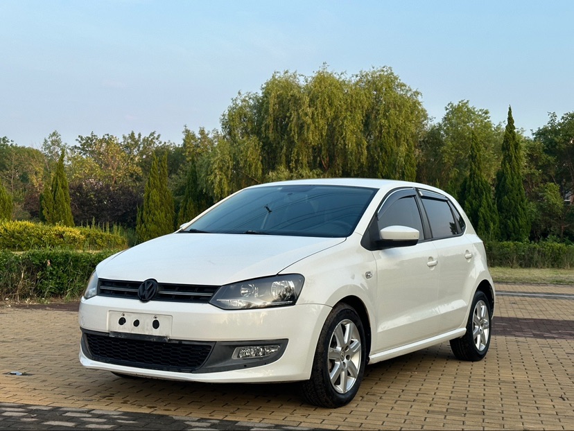 Volkswagen Polo 2013 car image 