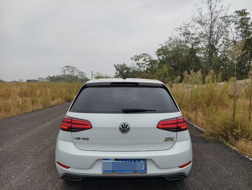 Volkswagen Golf 2019 car image #5