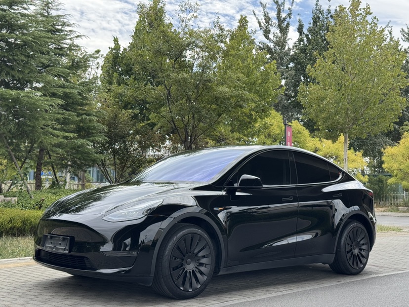 Tesla Model Y 2023 car image 