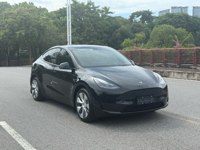 Tesla Model Y 2023 car image #3