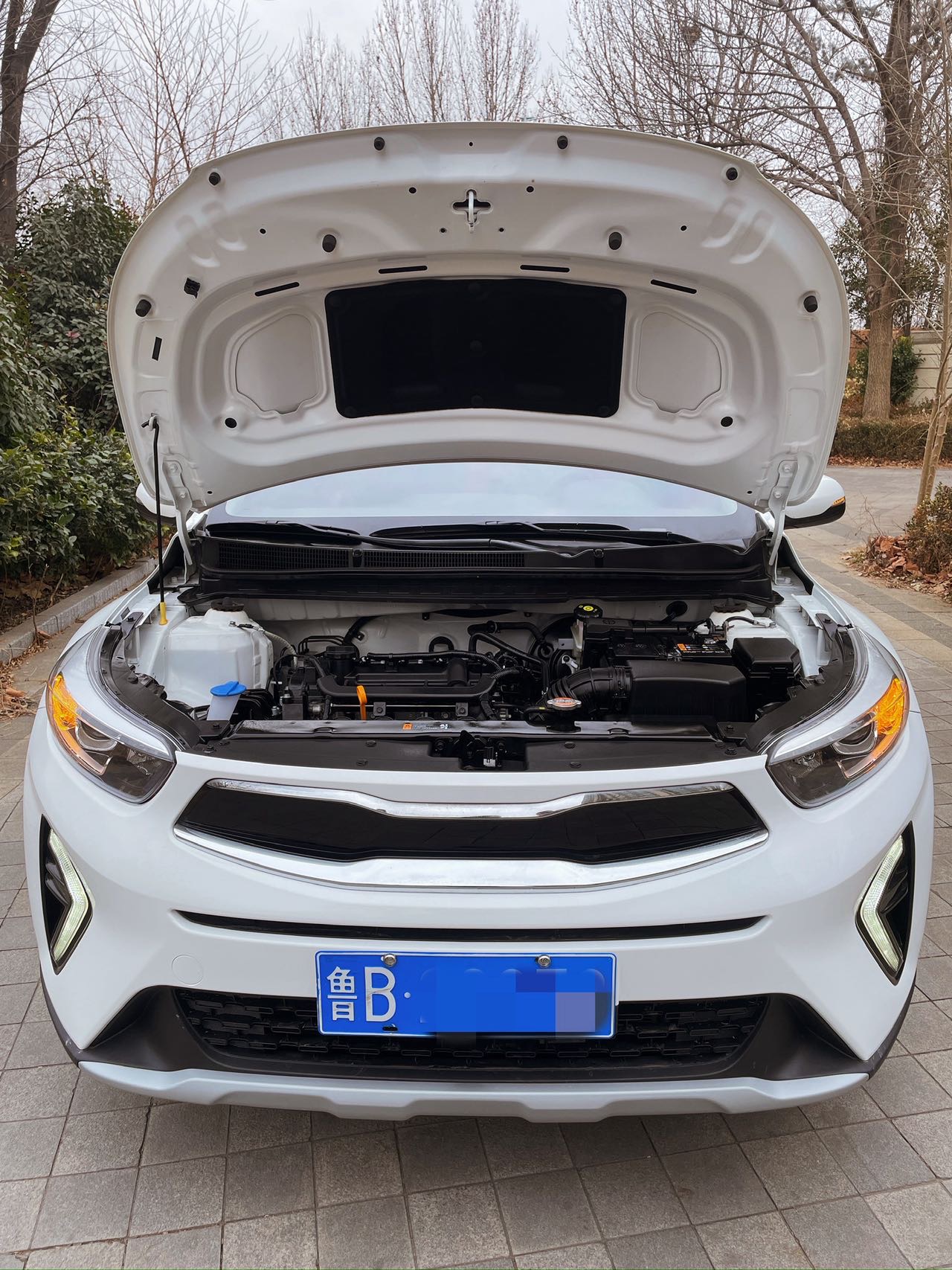 Kia KX1 2024 car image #8