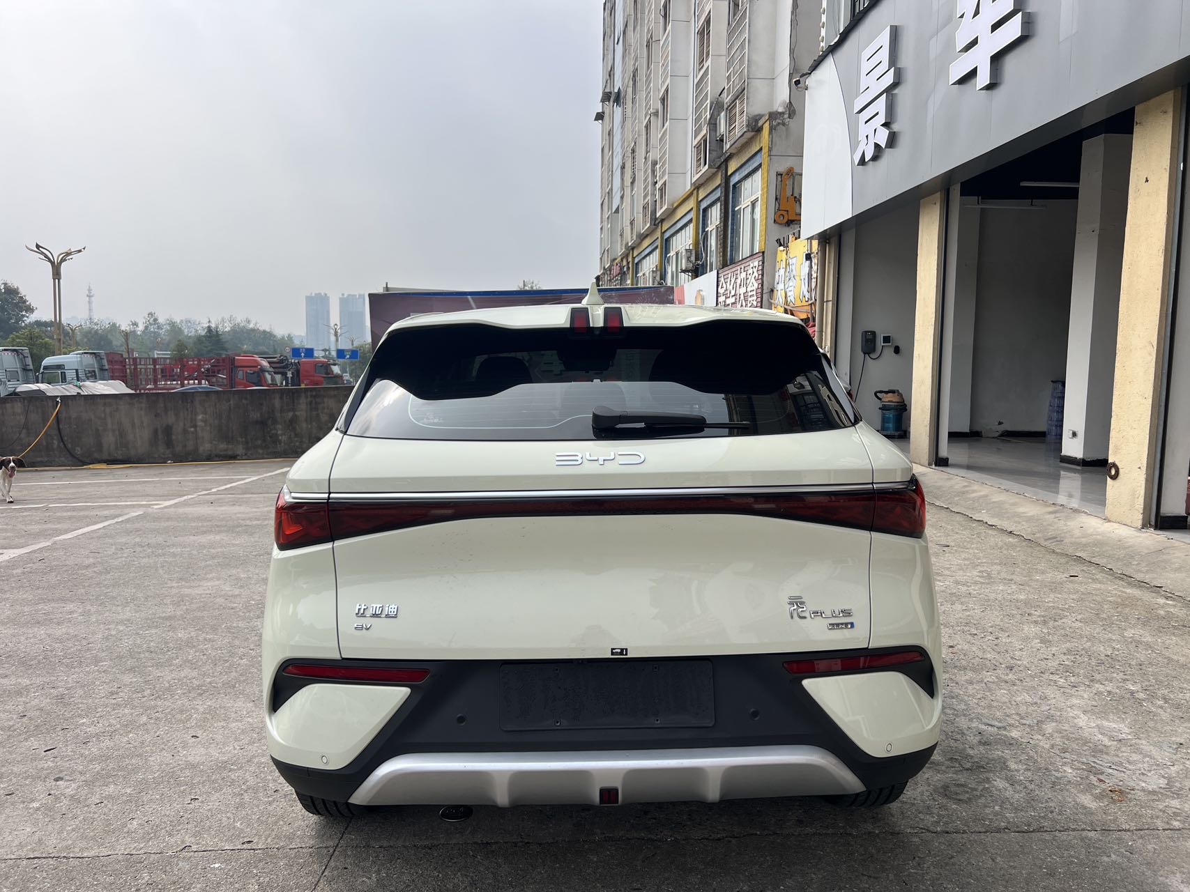 BYD Yuan Plus 2025 #7 BYD Yuan Plus 2025 car image #7