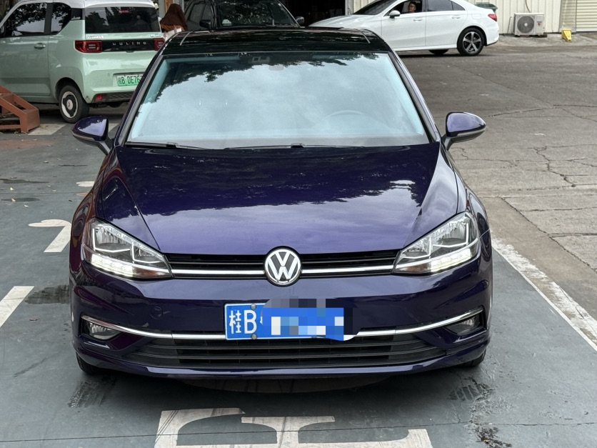 Volkswagen Golf 2019 car image #2