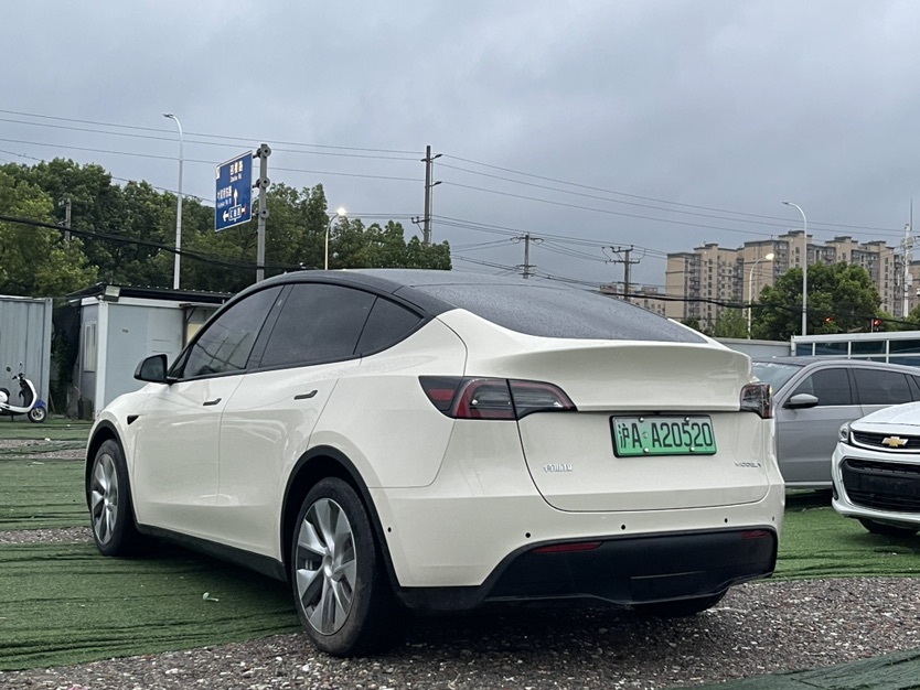 Tesla Model Y 2021 car image #9