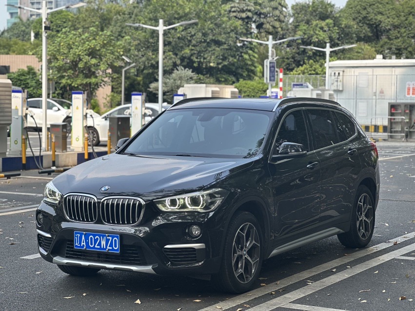 BMW X1 2019 car image 