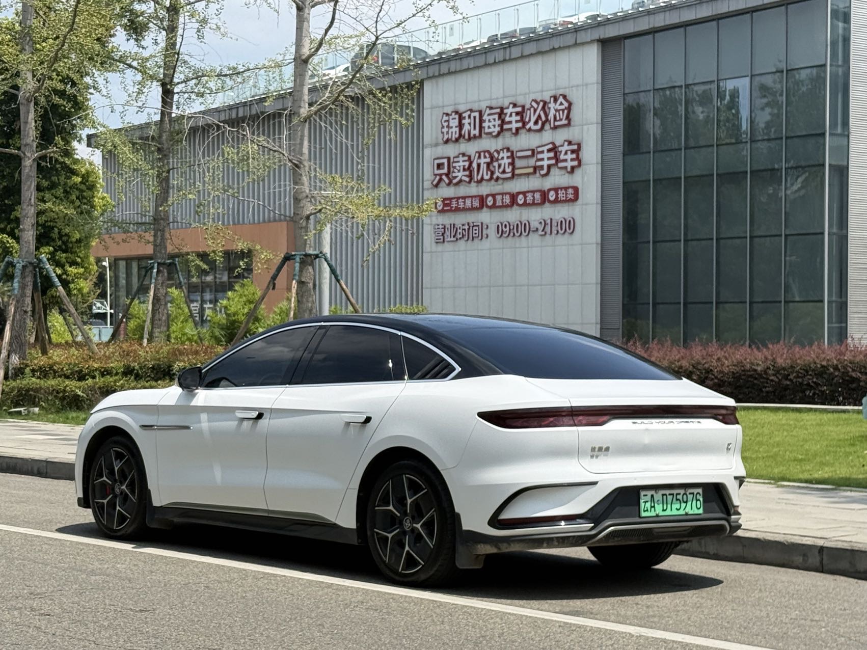 BYD Han 2022 car image #9