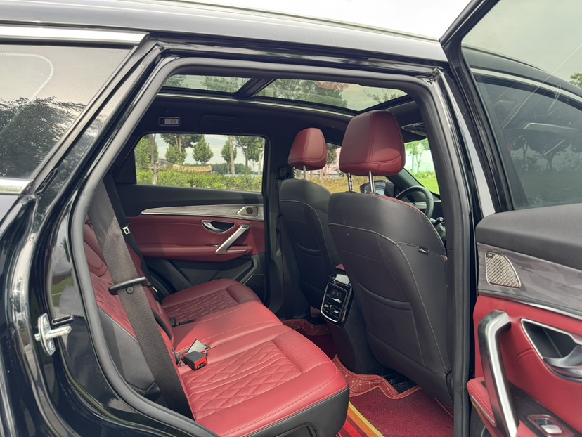 Jetour X70 PLUS 2023 car image #14