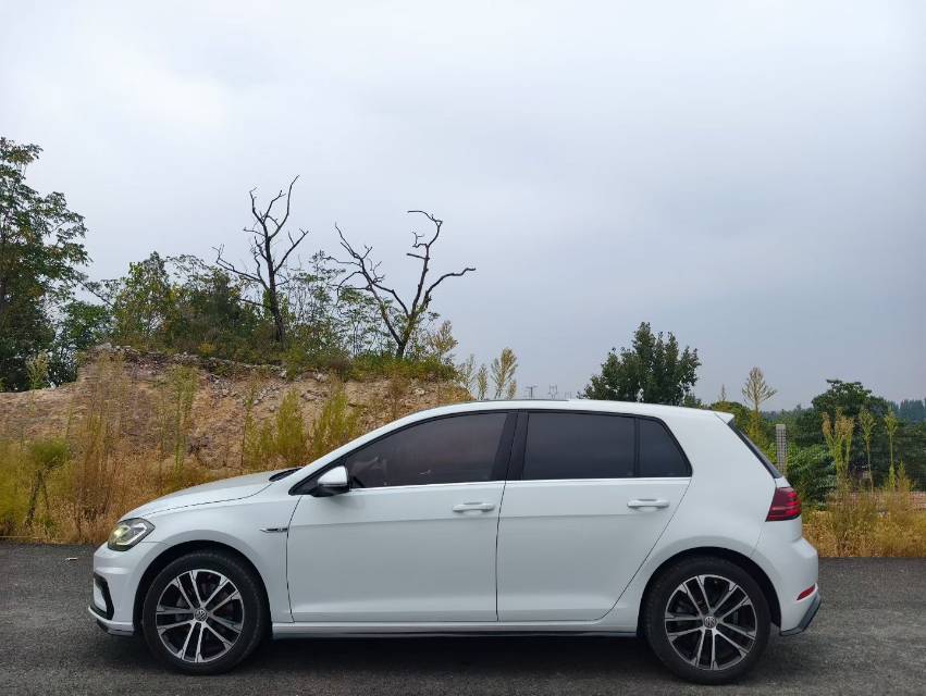 Volkswagen Golf 2019 car image #4