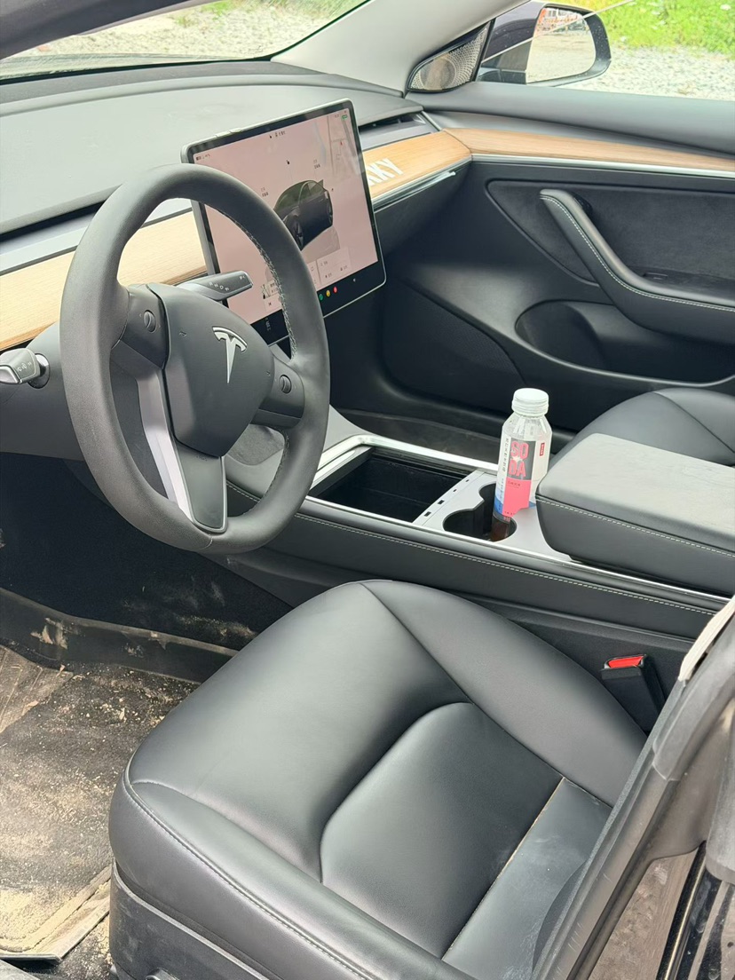 Tesla Model 3 2023 immagine di auto #5