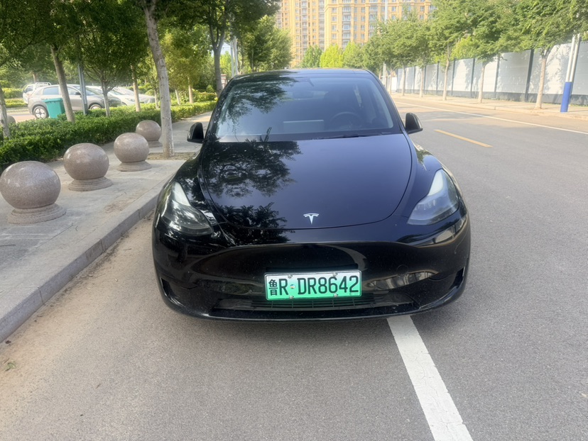 Tesla Model Y 2022 Tesla Model Y 2022 car image