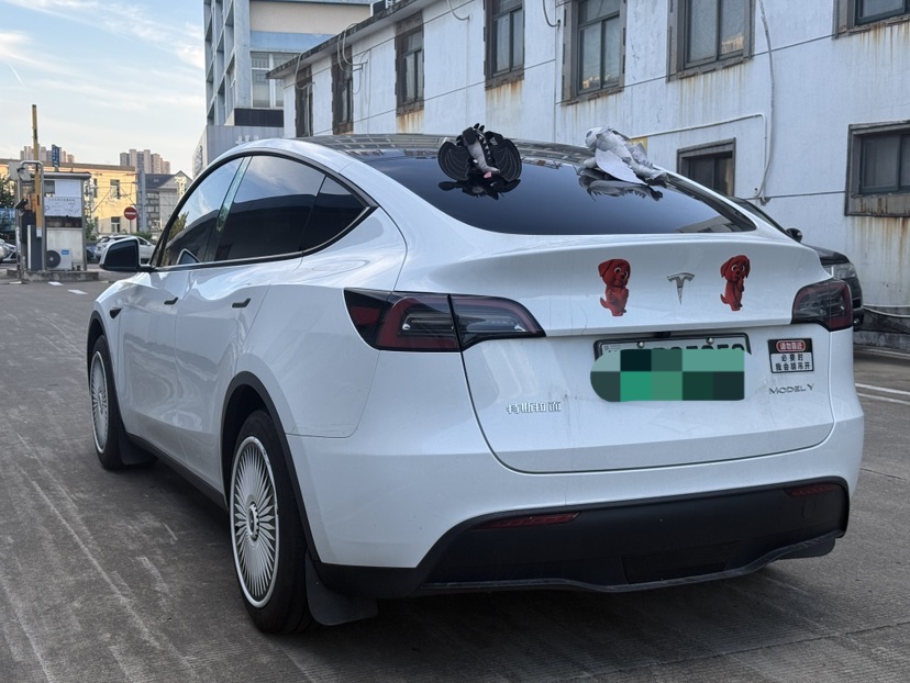 Tesla Model Y 2024 #9 Tesla Model Y 2024 car image #9