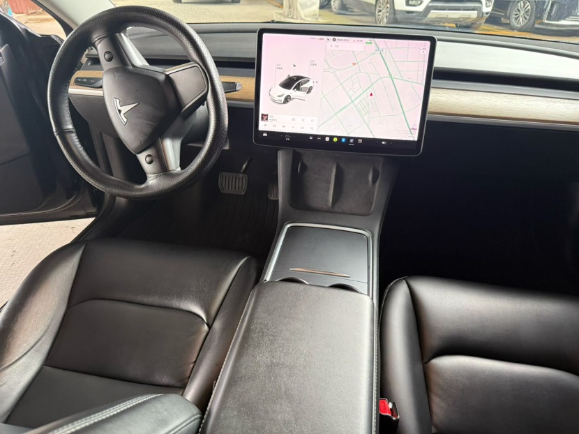 Tesla Model 3 2021 car image #6