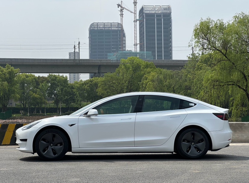 Tesla Model 3 2020 #3 Tesla Model 3 2020 car image #3