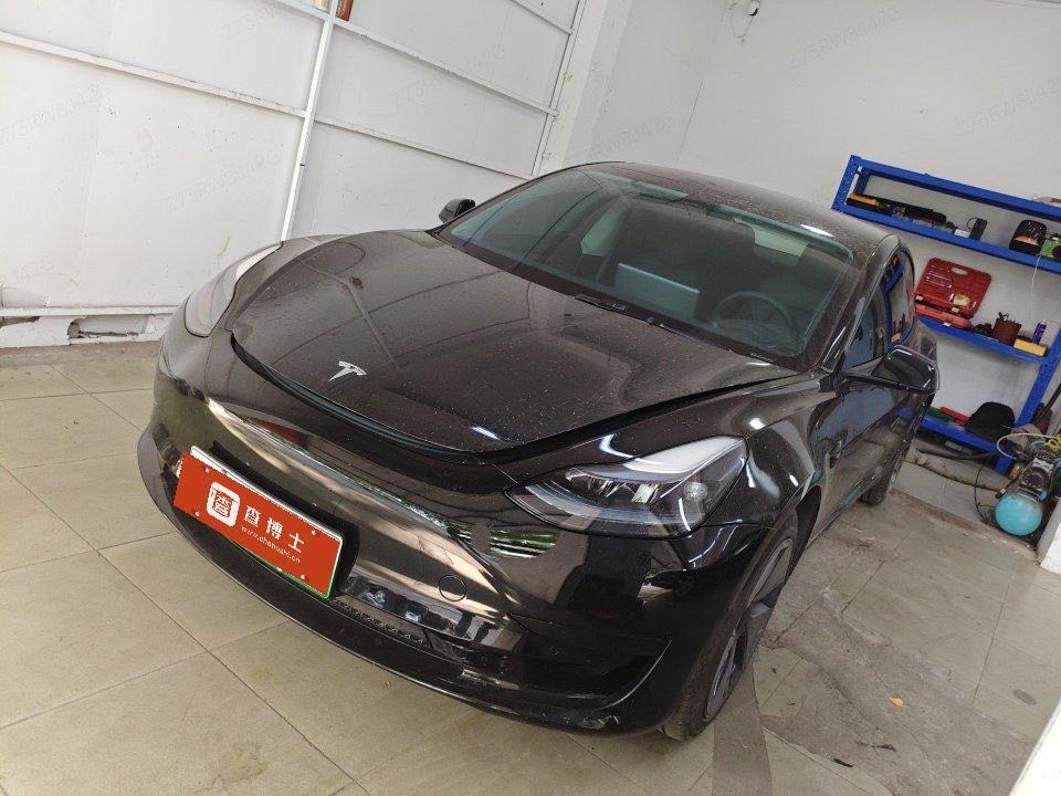 Tesla Model 3 2023 Tesla Model 3 2023 car image