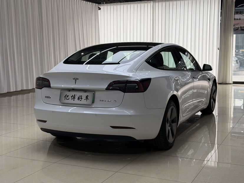 Tesla Model 3 2021 #9 Tesla Model 3 2021 car image #9