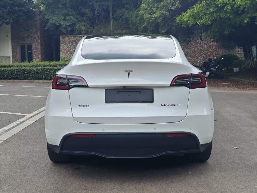 Tesla Model Y 2021 car image #5