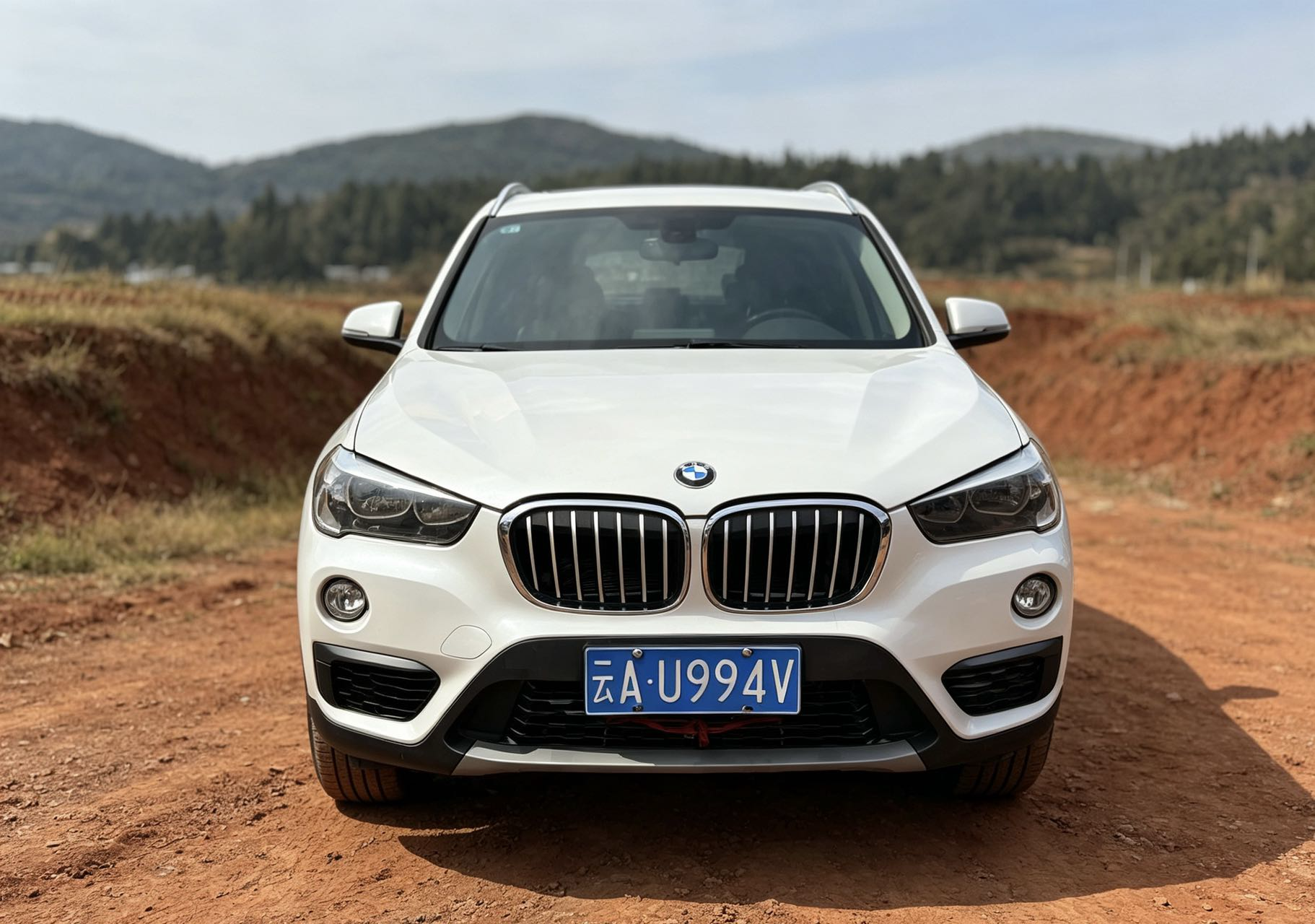 BMW X1 2017 car image #2