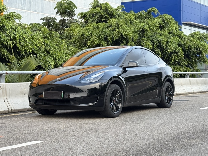 Tesla Model Y 2023 Tesla Model Y 2023 car image
