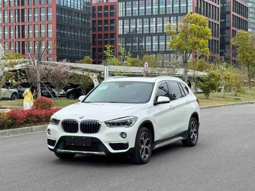 BMW X1 New Energy 2019 car image 