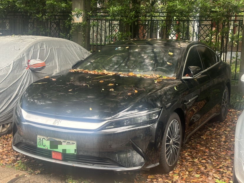 BYD Han 2021 car image 