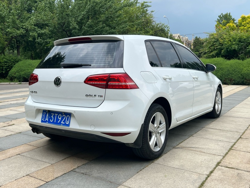 Volkswagen Golf 2014 car image #7