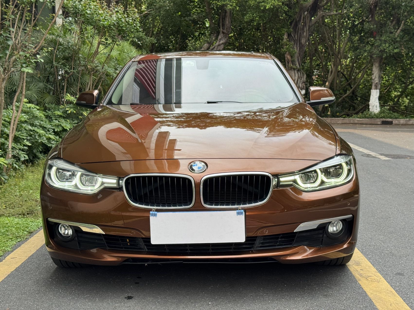 BMW 3 Series 2017 car image #2