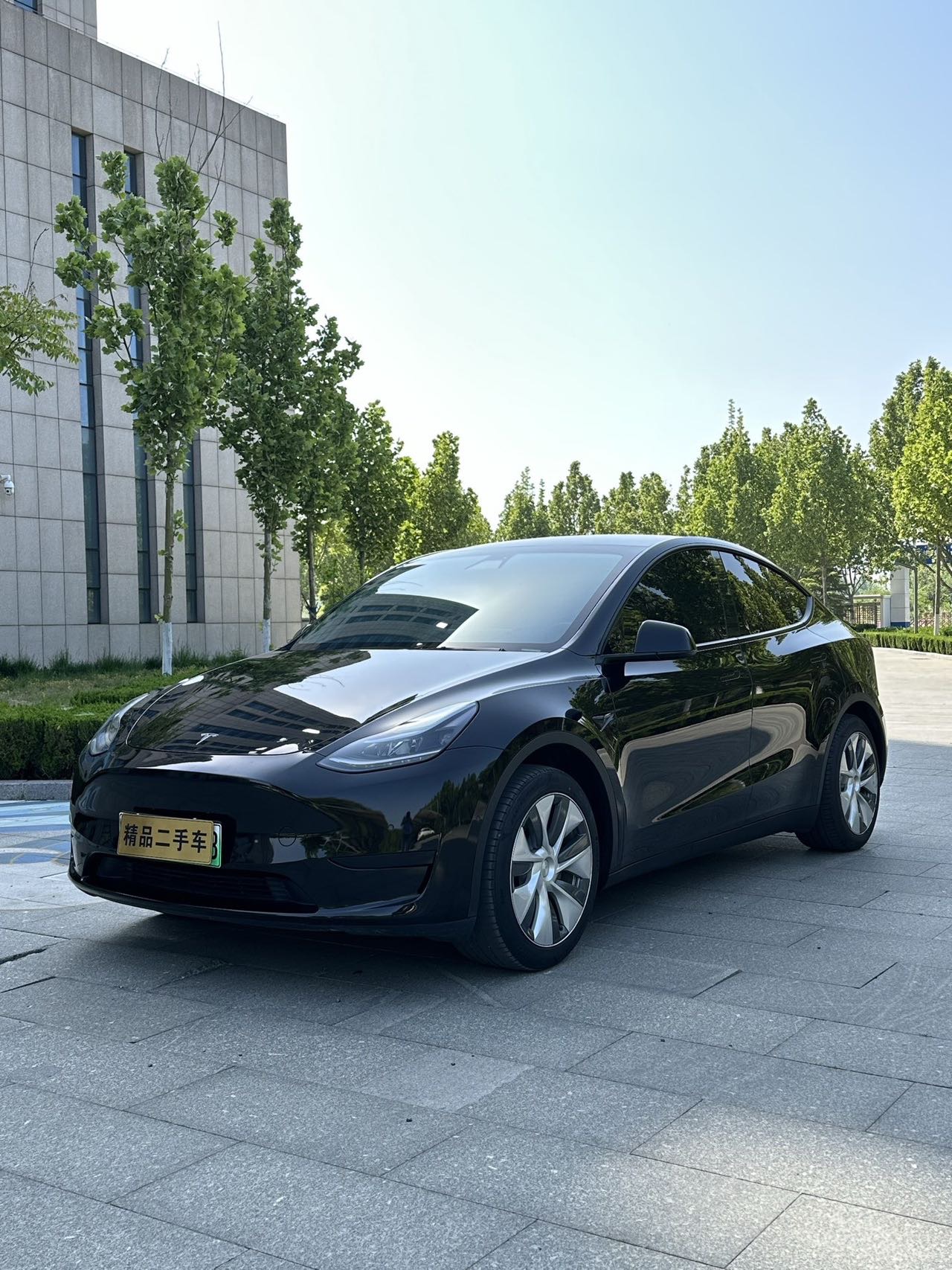 Tesla Model Y 2023 Tesla Model Y 2023 car image
