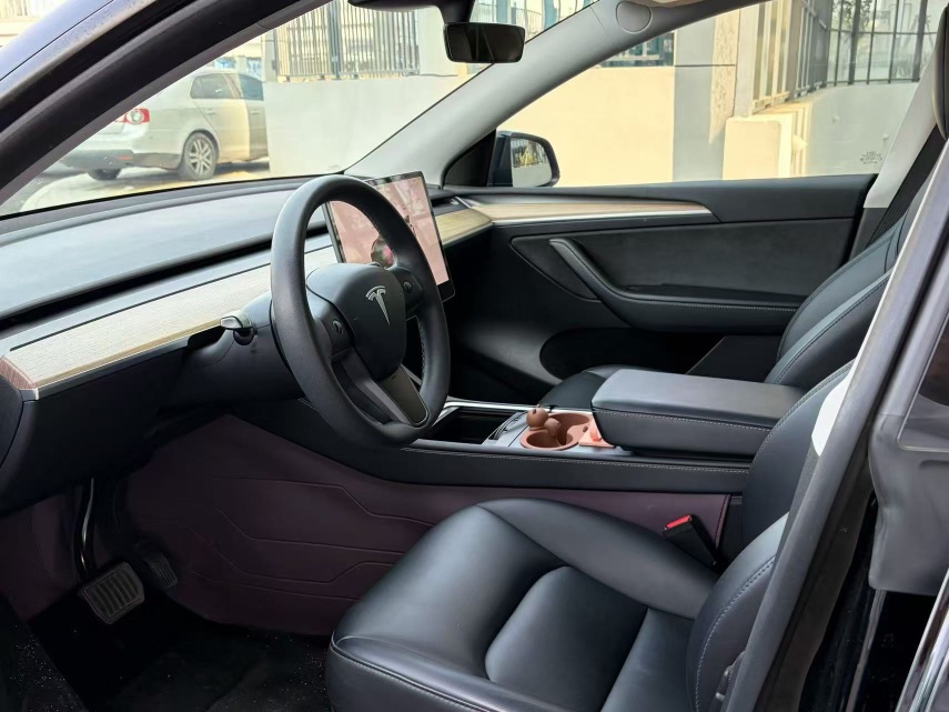 Tesla Model Y 2023 car image #6