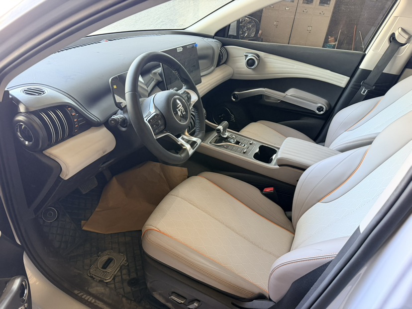 BYD Yuan Plus 2025 car image #8