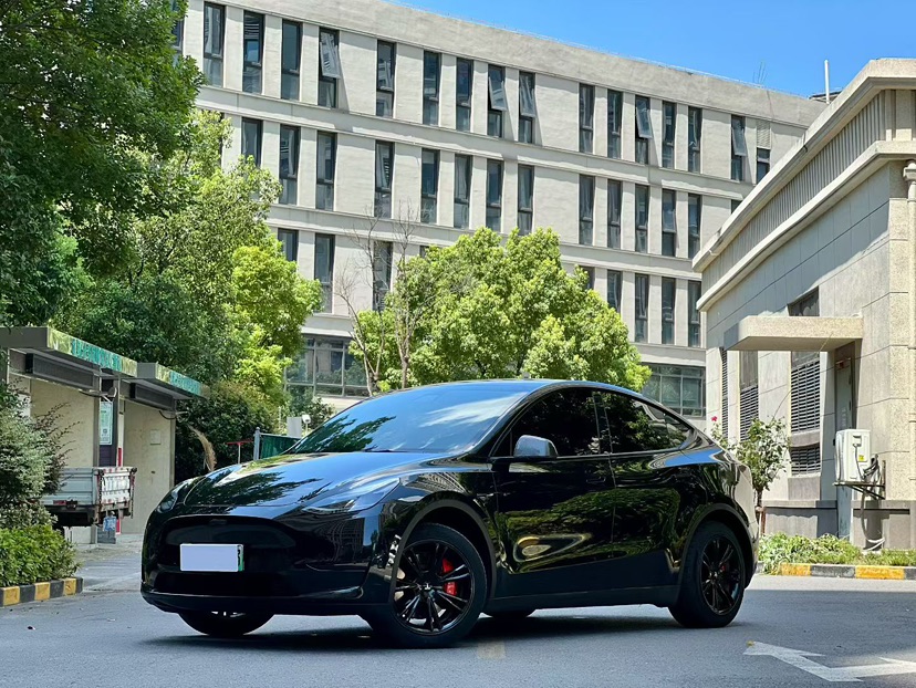 Tesla Model Y 2023 car image 