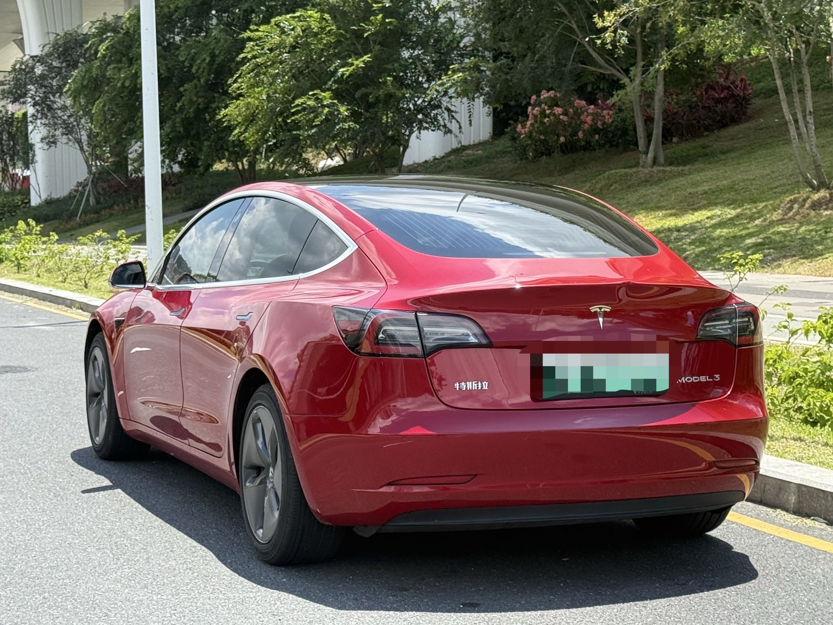 Tesla Model 3 2020 car image #6
