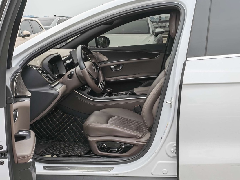 BYD Han 2021 immagine di auto #7