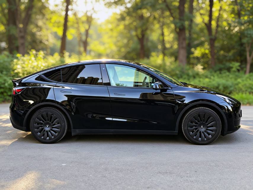 Tesla Model Y 2023 car image #7
