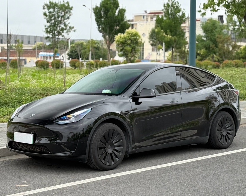 Tesla Model Y 2023 car image 