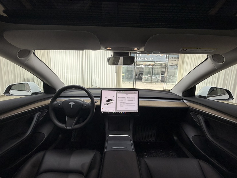 Tesla Model 3 2021 #5 Tesla Model 3 2021 car image #5