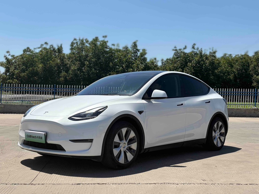Tesla Model Y 2021 Tesla Model Y 2021 car image