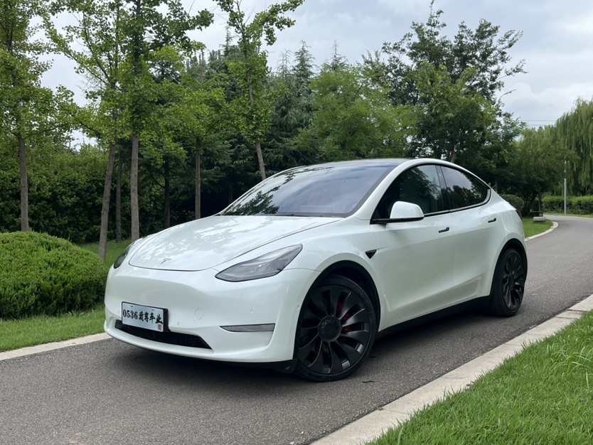 Tesla Model Y 2022 Tesla Model Y 2022 car image