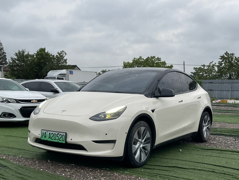 Tesla Model Y 2021 car image 