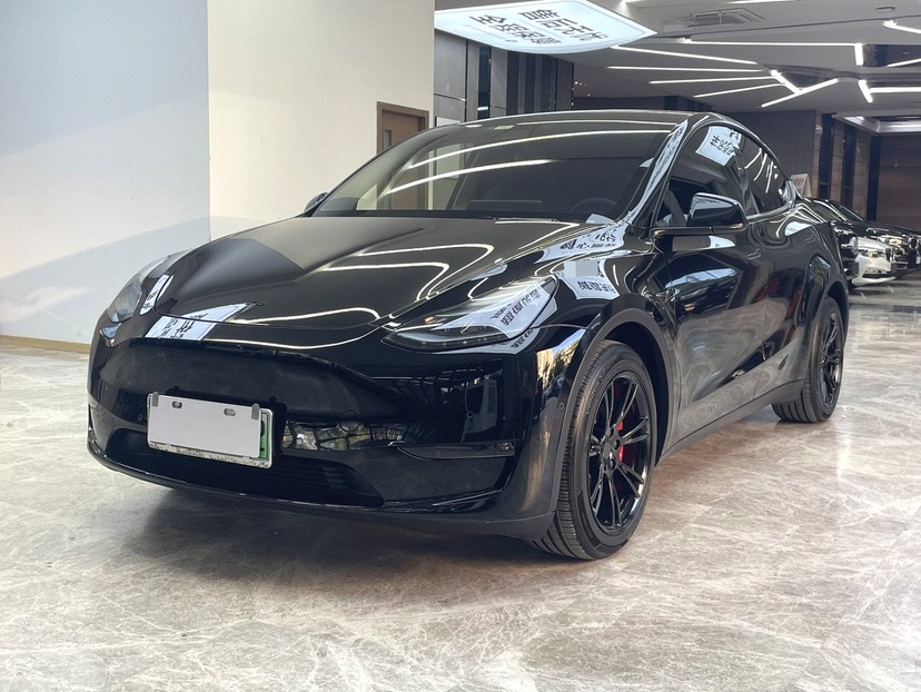 Tesla Model Y 2021 Tesla Model Y 2021 car image