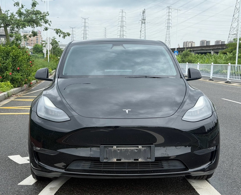 Tesla Model Y 2021 #2 Tesla Model Y 2021 car image #2