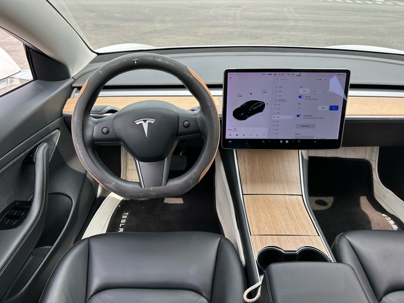 Tesla Model 3 2020 #8 Tesla Model 3 2020 car image #8