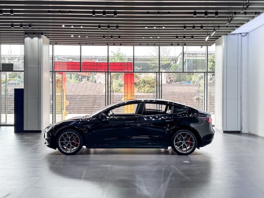 Tesla Model 3 2021 #5 Tesla Model 3 2021 car image #5